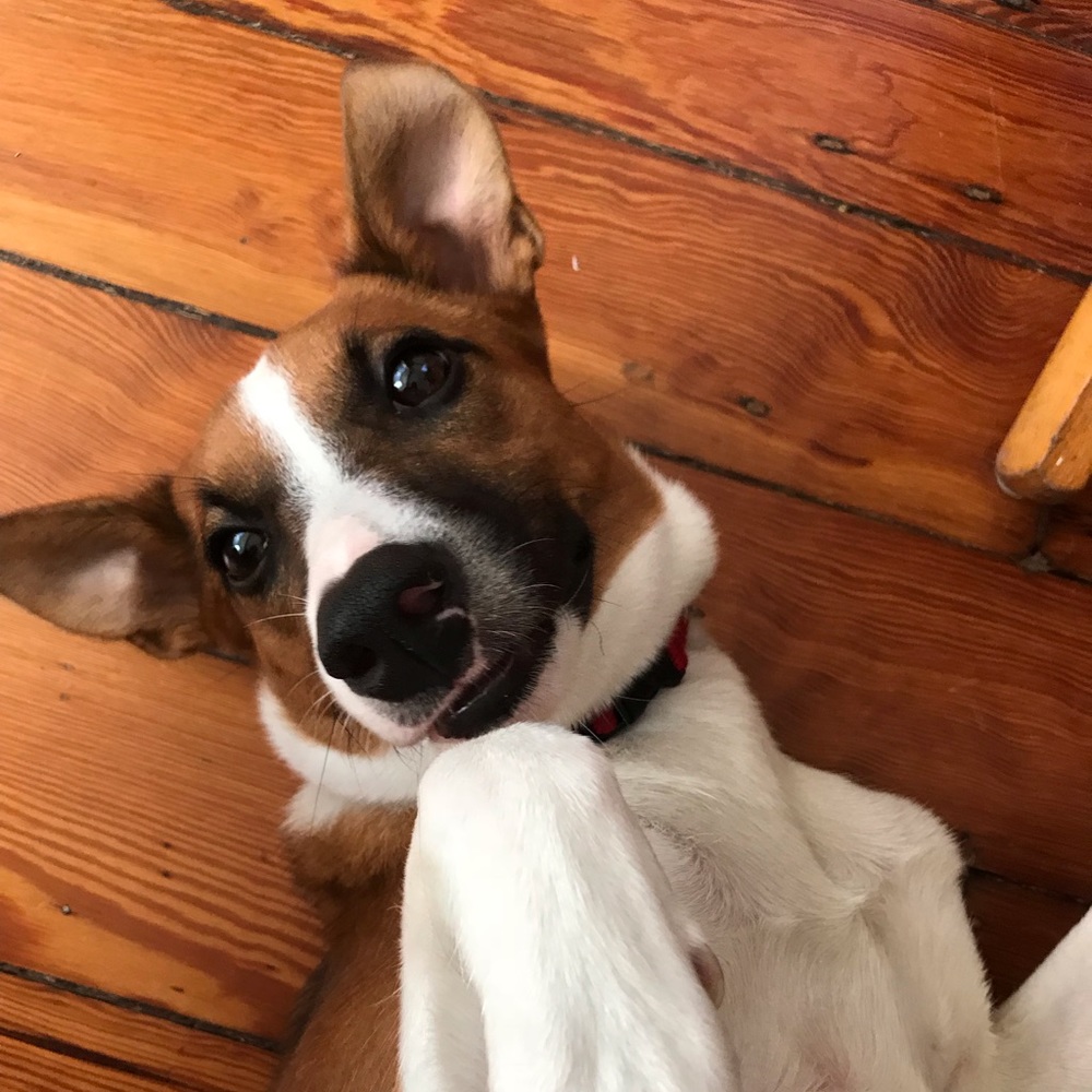 Meet your Posher, Kate